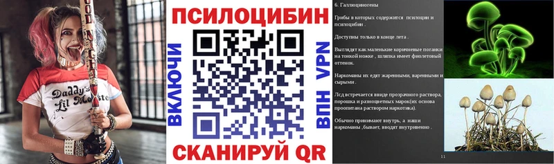 Купить закладки Елизаветинская Псилоцибиновые грибы MAGIC MUSHROOMS