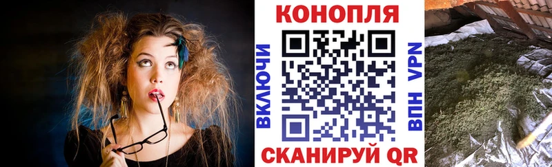 Бошки марихуана White Widow  Купить  Елизаветинская 